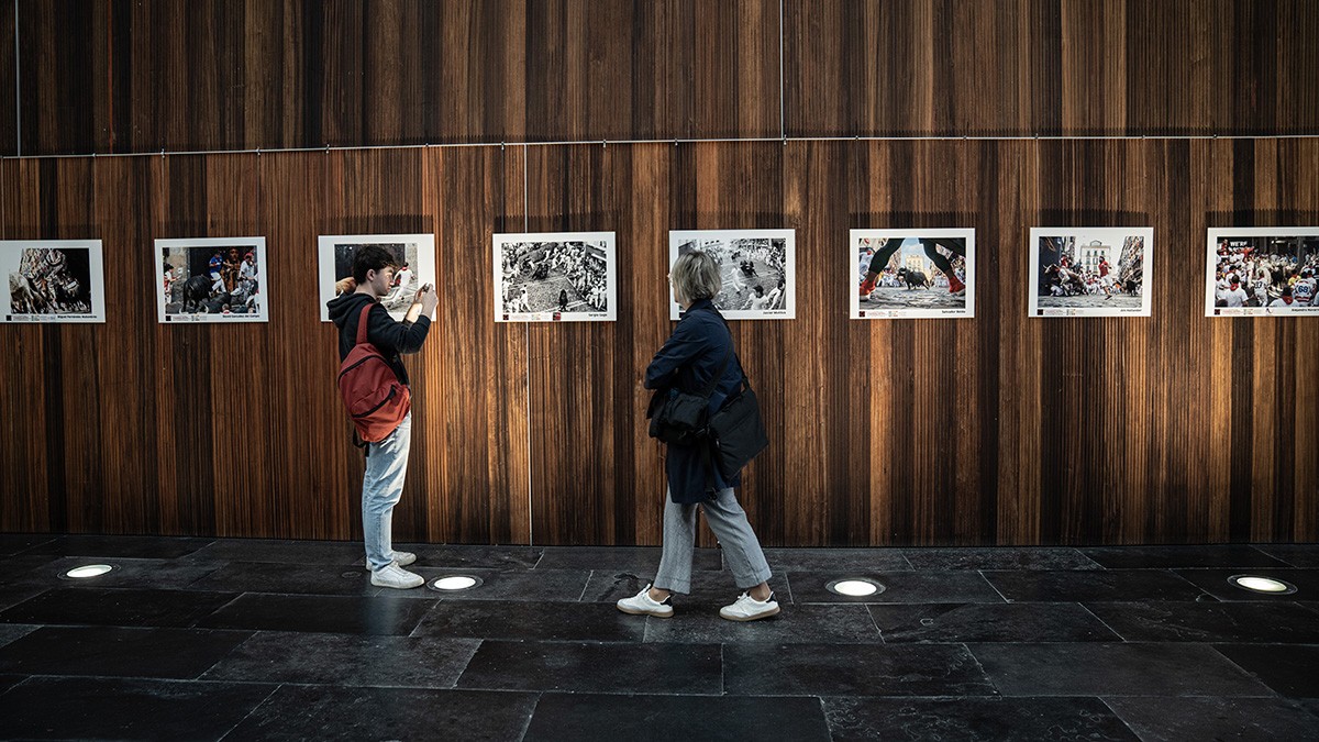 Exposición de la XIV edición de los Premios C.I.F.E.