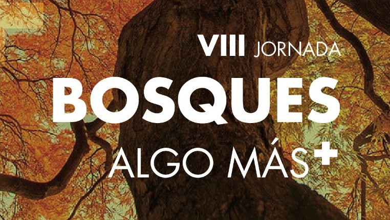 Imagen de Evento