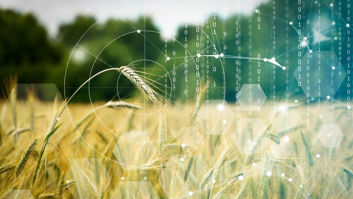Innovación en el sector Agroalimentario